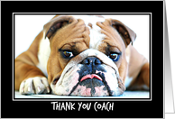 ENGLISH BULLDOG GUNNER, Thank You Coach card