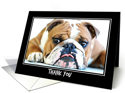 ENGLISH BULLDOG GUNNER, Thank you card (958651)