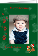 Christmas Photo Card Dog and Cat in Holiday Dress card