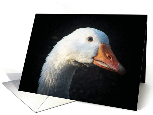 Goose Note card (288680)