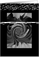 Black Swirl Blank Notecard Card