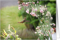 Humming Bird And Allium Flowers Blank Notecard Card