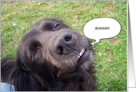 Dog AHHHH I Love You Card