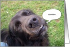 Dog AHHHH I Love You Card