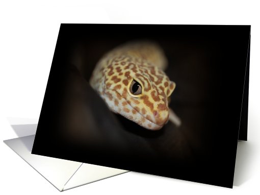 Leopard Gecko Collections Blank Card Note Card card (538524)