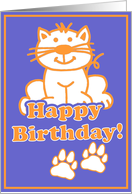 Cat Lover Birthday
