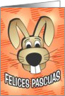 Bunny Face - spanish card