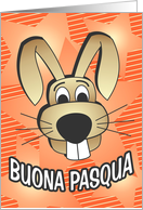 Bunny Face - italian card