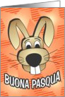 Bunny Face - italian card