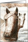 Horses Thinking Of You Card