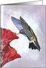 Hummingbird Thinking of You card