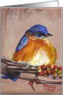 Bluebird Blank Card