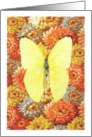 Butterfly Touch of Sun Card