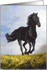 Racing Black Horse Father’s Day Greeting card