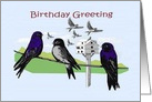 Purple Martin Bird Colony Birthday card