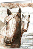Horses Thinking Of You Card