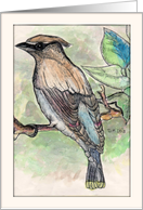 Painting Bird On A Limb Thinking Of You Card