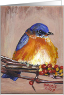 Bluebird Blank Card