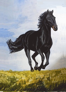 Racing Black Horse...