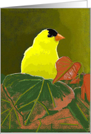 Beautiful Yellow Finch on Green Leaves, Blank Note Card