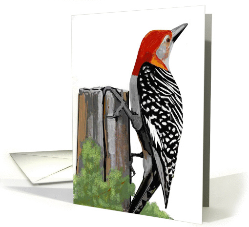 Birthday, Red Headed Woodpecker card (649802)