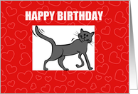 Special Royal Pet Cat Birthday card