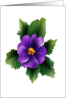 Wild Purple Rose Birthday Card