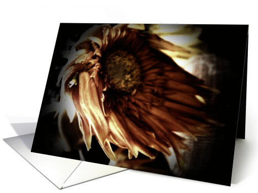 flower card (267923)