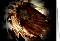 flower card