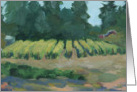 Bainbridge Island Vineyard card