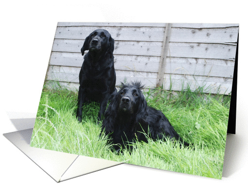 mum and sister card (269865)