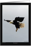 The Warrior-Bald Eagle landing image card
