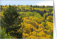 Grand Mesa's Fall