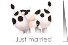 Just Married with Two Cows in Love Blank card