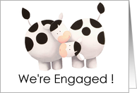 Engaged- Cute cows card
