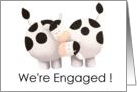 Engaged- Cute cows card