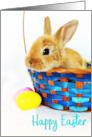 Happy Easter Bunny Rabbit in Basket card