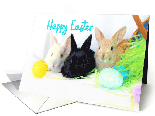 Happy Easter card (1731408)