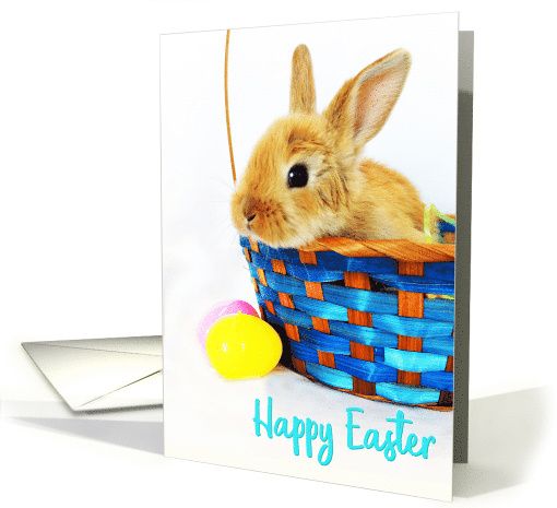 Happy Easter Bunny Rabbit in Basket card (1731412)