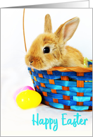 Happy Easter Bunny Rabbit in Basket card