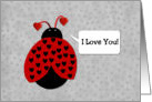Love Bug Valentine’s Day Card