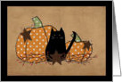 Black Cat And Pumpkins Halloween card