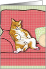 Funny Cat With Attitude Birthday card