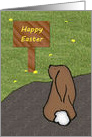 Bunny Rabbit Easter card