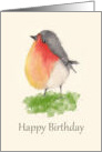 Watercolor Robin Birthday card