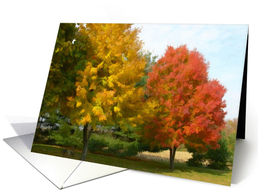 Fall Foliage Thanksgiving card (1403024)