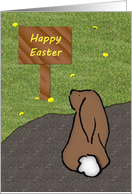 Bunny Rabbit Easter