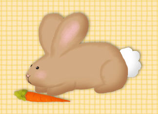 Bunny With Carrot...