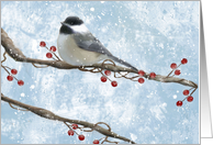 Chickadee In Winter card