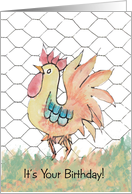Funny Watercolor Rooster Birthday card